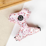 Set - Blossom Pup